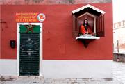 VENICE21 (21)